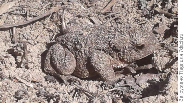 Прикинь))) меня тоже на фотоконкурс не пригласили)))