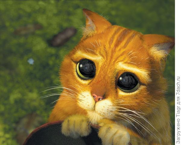 Я знаю волшебное слово ПОЖАЛУЙСТА)