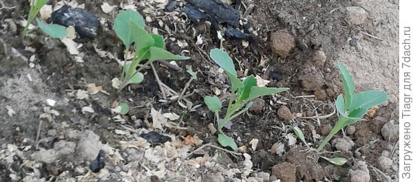 Вроде, не особо вытянулась)))