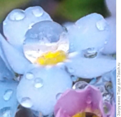 Море...небо...цветы...улыбки и слёзы)))