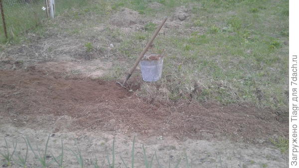 Кусты и деревья выкорчевали здесь, а теперь копаем)))