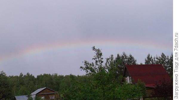 Улыбнулась, расцвела
