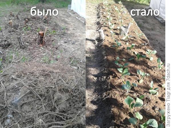 так наглядней)))