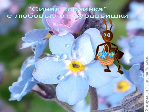 Это вам)))
