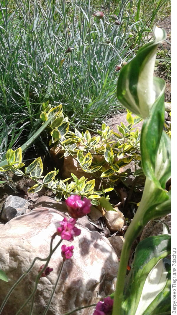 ещё чуточку