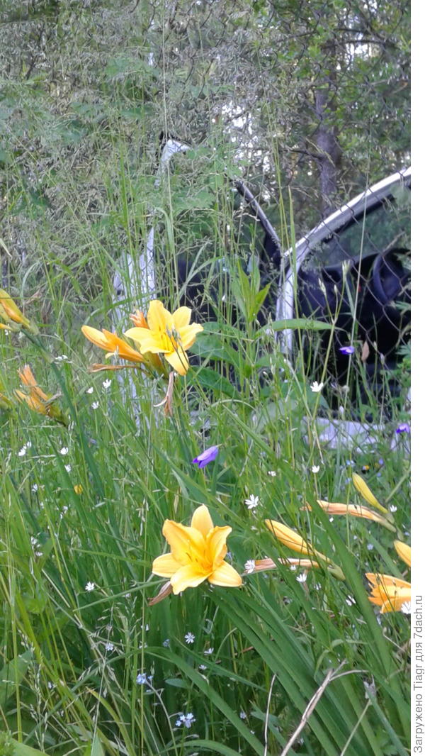 Руки не дошли))))