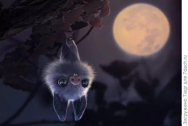 &amp;quot;Вот бы мне такие крылышки&amp;quot;, - подумала летучая мышка)))