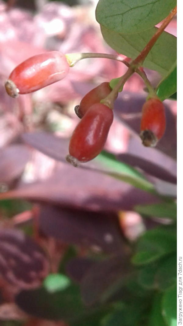 Солнышка и тепла)))