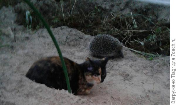 детский сад)))