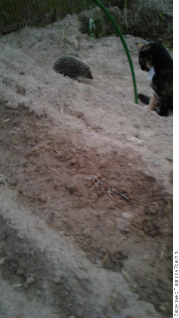 пошёл в соседнюю траншею