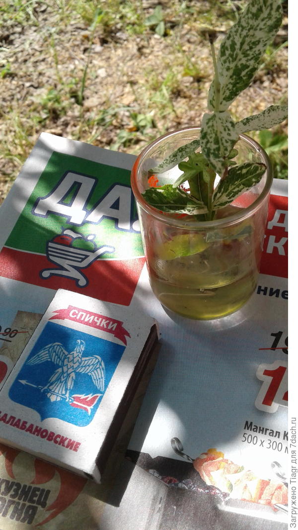 У тебя ведь тоже должен быть такой магазин)))