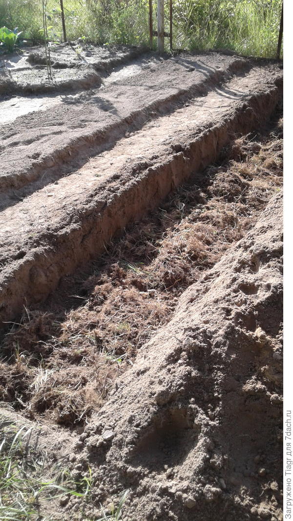 Складываем все корни, что извлекли при перекопке, обратно.