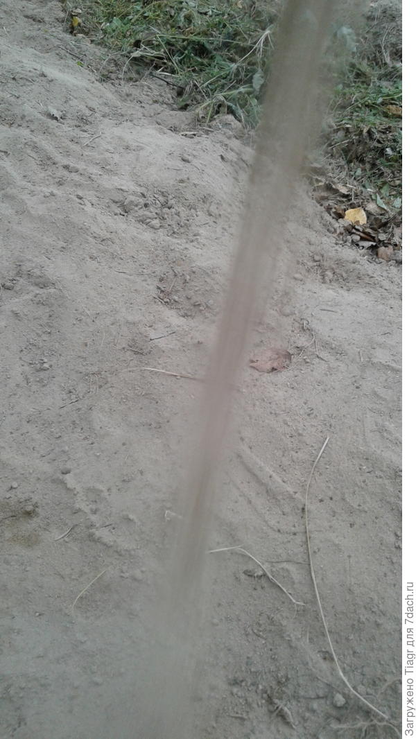 Пока такой грунт. Это тот самый песок, на куче которого наша кошка за ёжиком наблюдает. Лишь вид на траншею с другой стороны))))