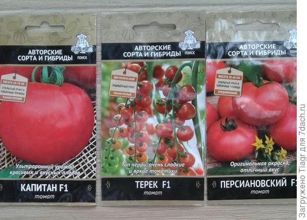 гибриды