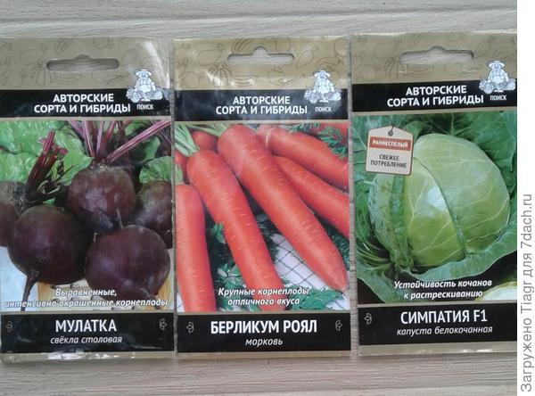 морковка и свёкла для борща