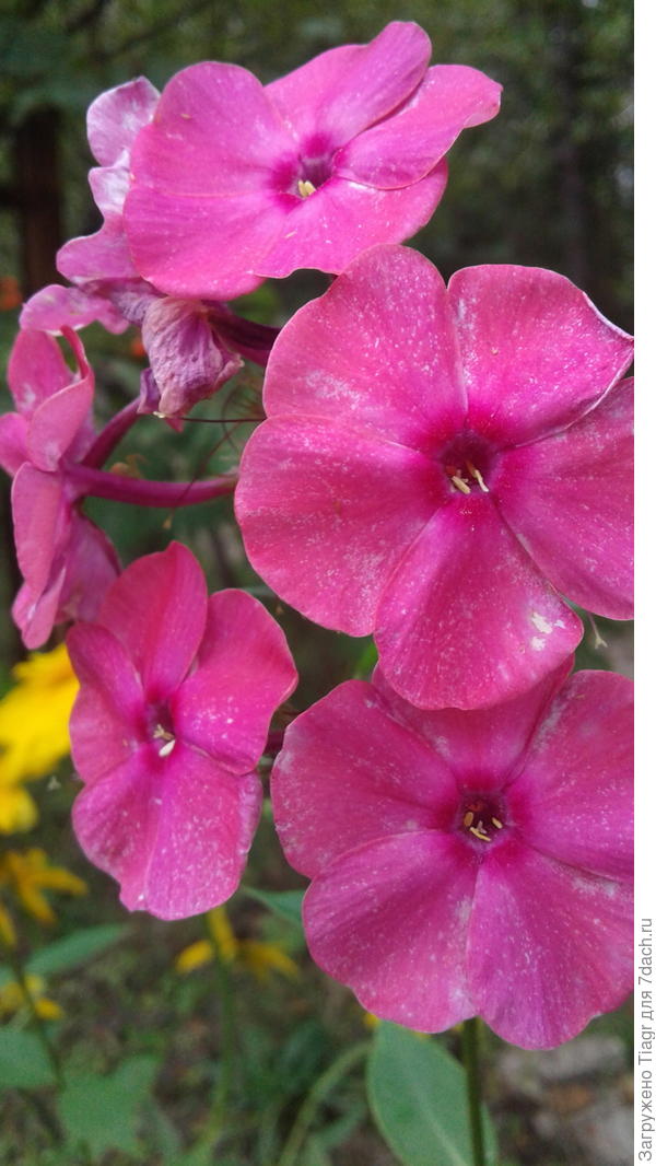 немнолго ярче