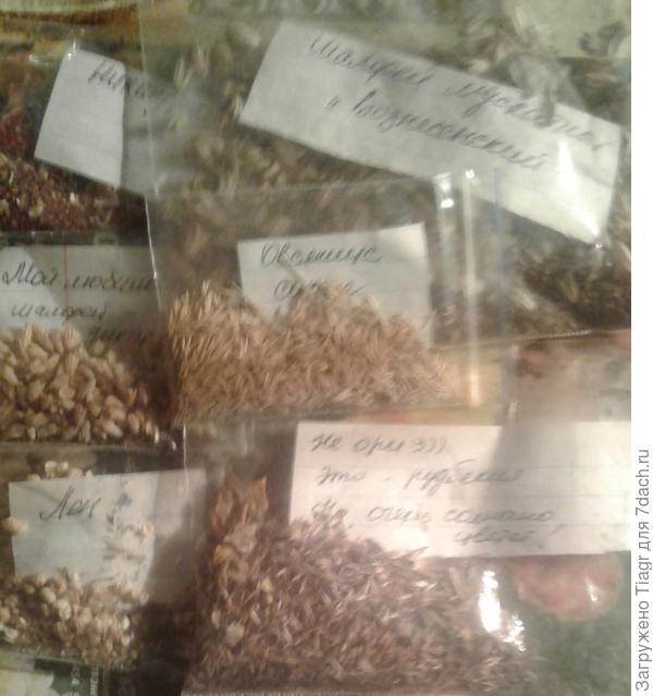 Я уже в предвкушении нового сезона. Когда же весна?