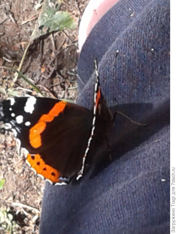 и ей было пофиг)))))