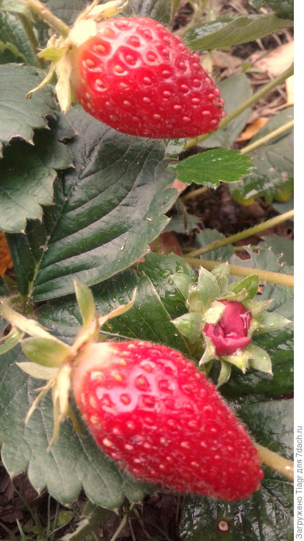 Фото сегодняшнего дня