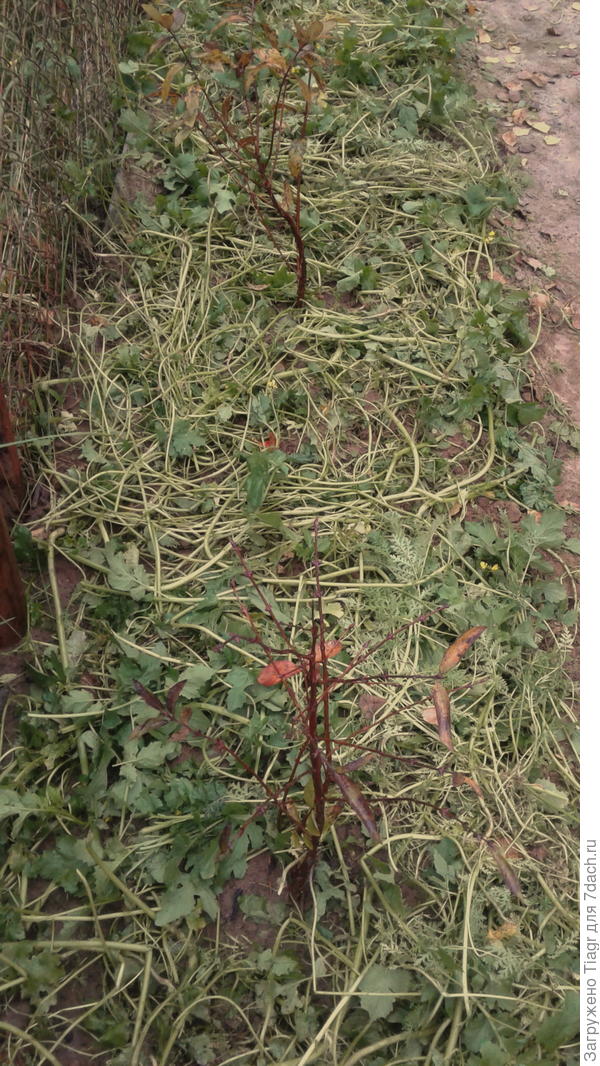 Ей понравилось)))))) Спасибо тебе большущее за такую красоту!!!!!!