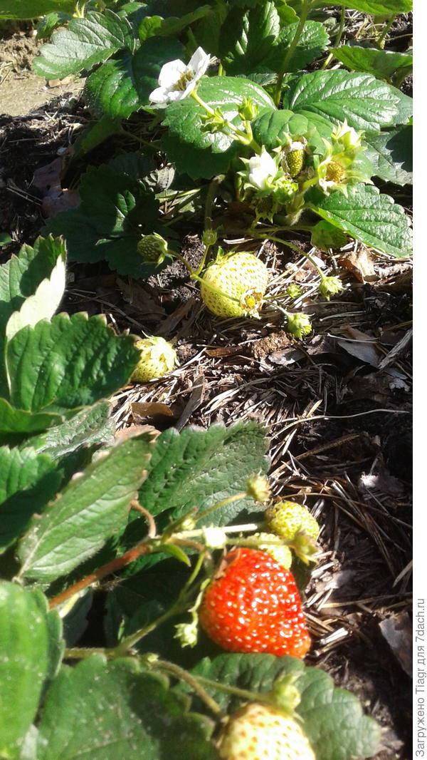 Фото сегодняшнего дня, 8 октября