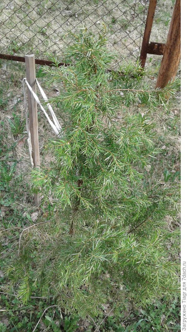 один из...)))))