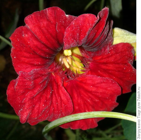 Это Вам)))) Поздравляю!