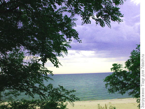 перед грозой