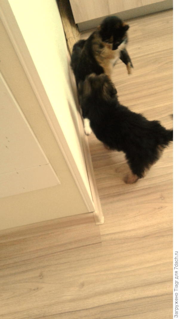 знакомится с Маней