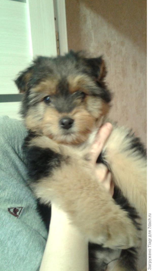 Счастья всем!))))