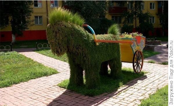 Фото из интернета