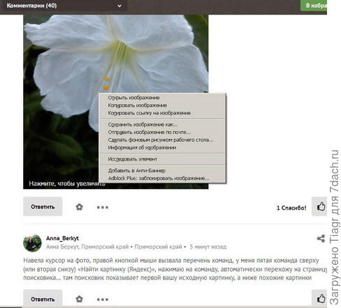 лишь такие команды