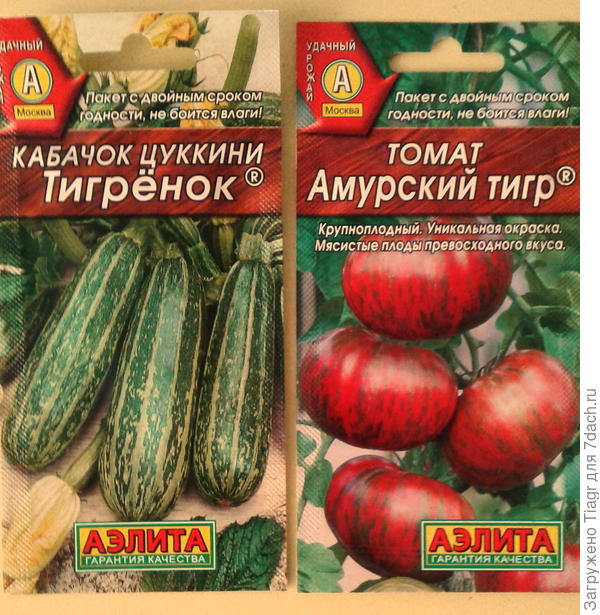 Мои тигрята