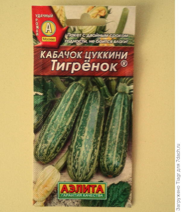 Кабачок