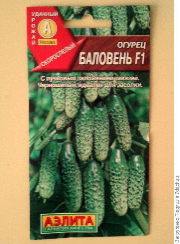 Баловень F1