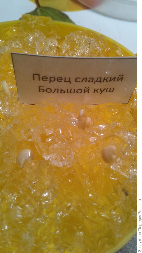 Большой куш