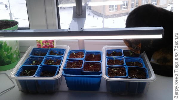 удивляется, почему один в отстающих)))