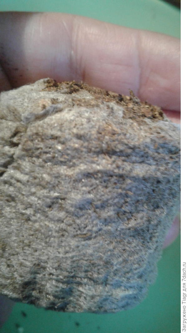 сухарики)))) но, уже не таблетки