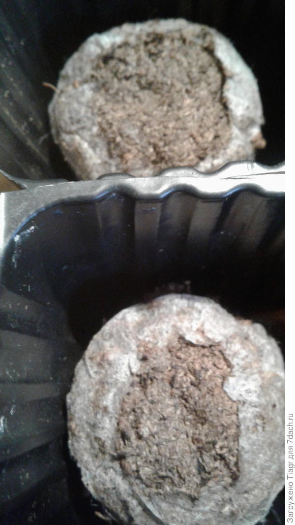 так и остались без дела