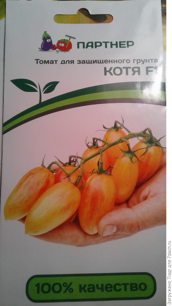 Свет, на призоые деньги заказала