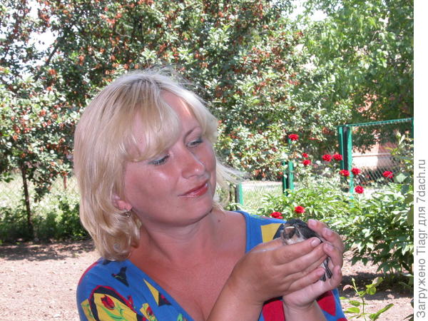 10 лет назад