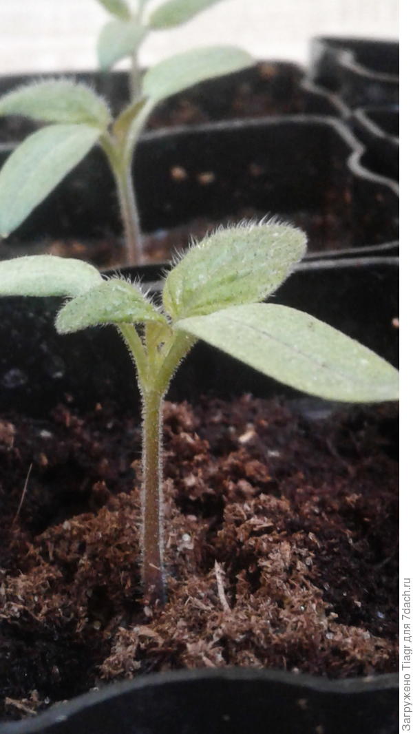 под другим углом)))