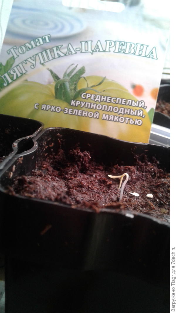 само очарование))))