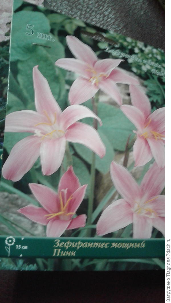 Выскочка росла в кабинете, но не такая