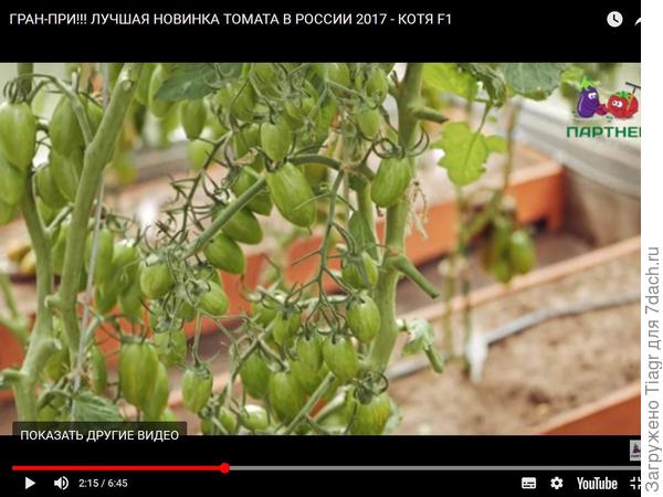 кисти - супер!!!