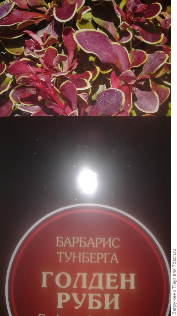 это коробка