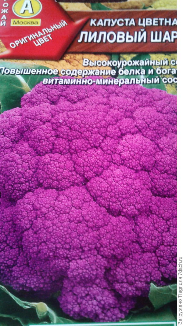 Лиловый шар