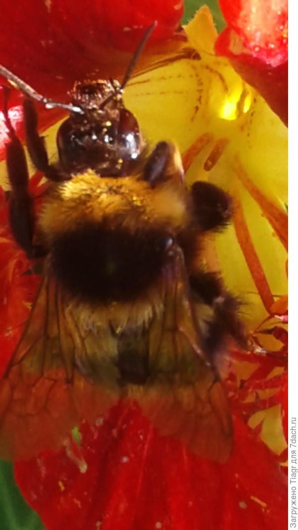 очень нравится))))