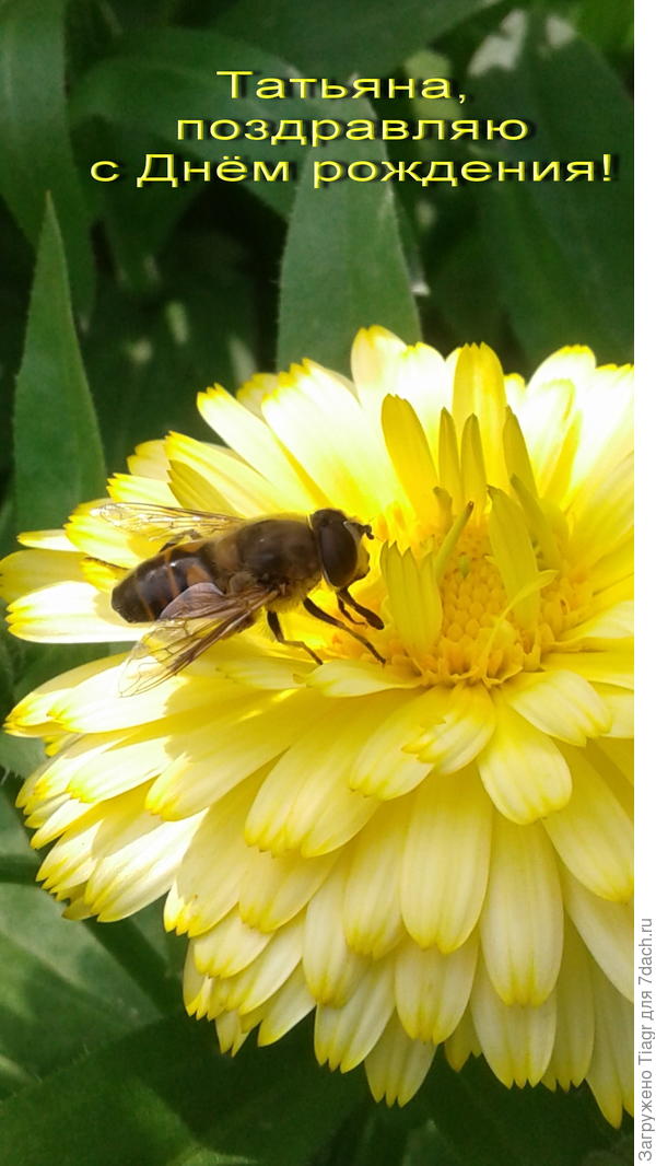 Пусть ласковое солнышко всегда будет рядом ))) Счастья и здоровья!