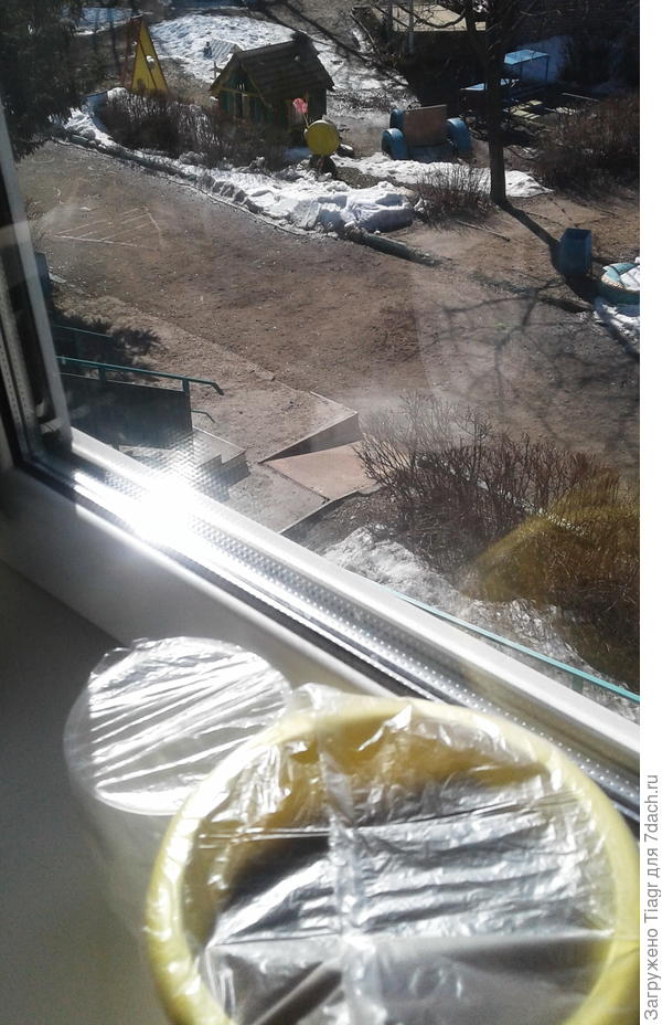 На детских площадках ещё сне, а мы ждём всходы))